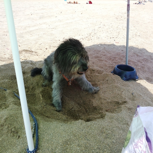 Urlaub Frankreich 2015 (16)